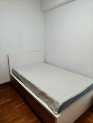 Rafflesia Condominium (D20), Condominium #587191751